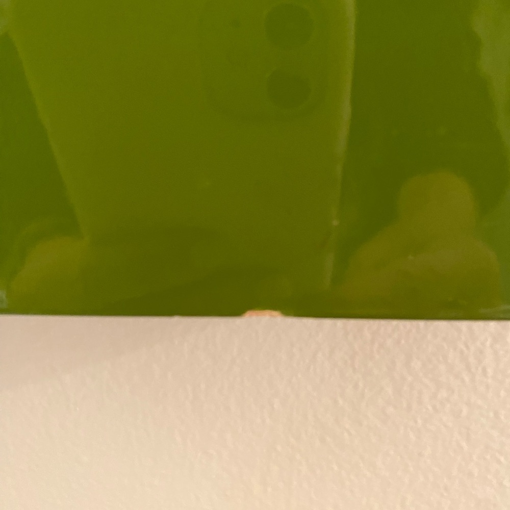Golden retriever print framed in big green frame - Picture 5 of 5
